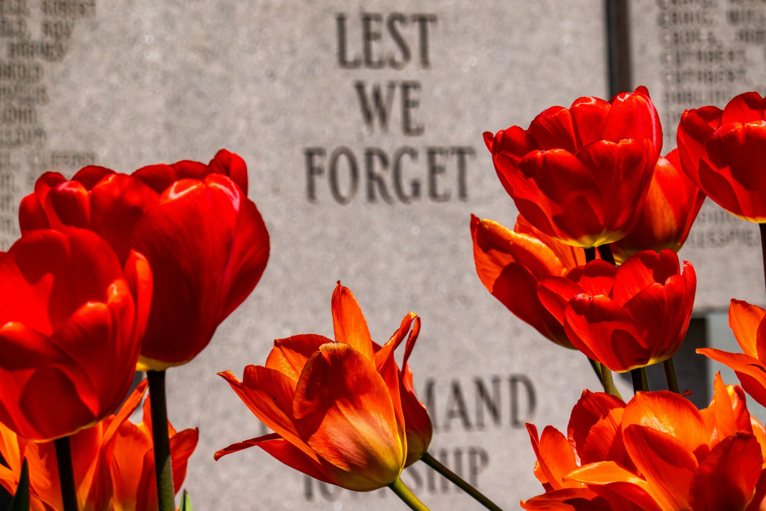 remembrance day