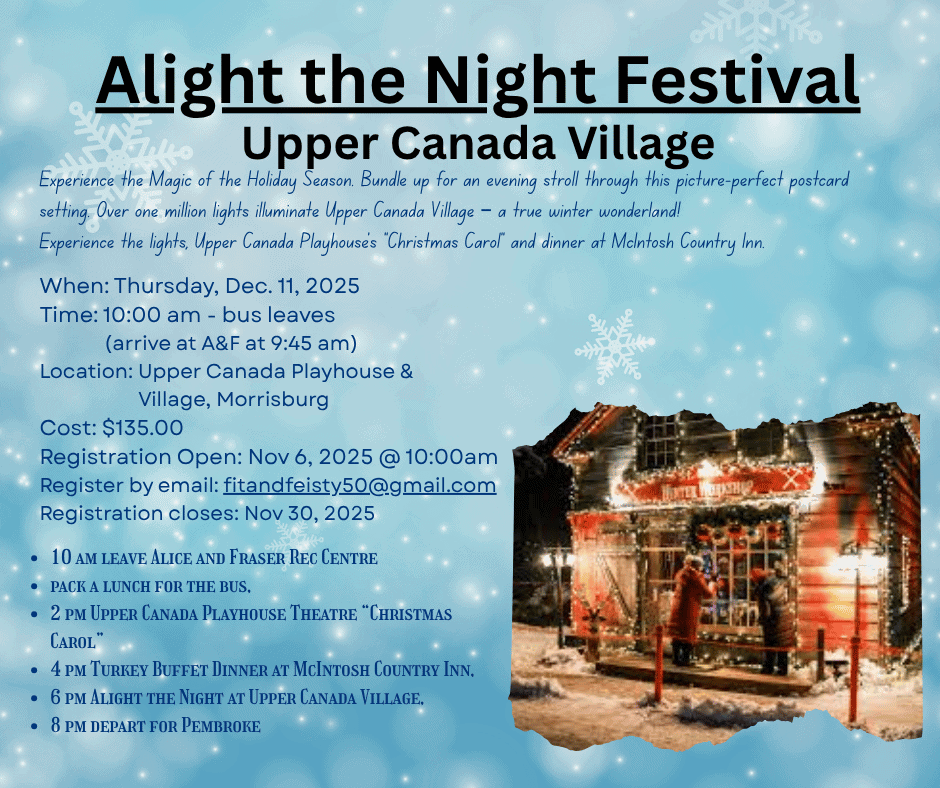 Alight the Night Festival