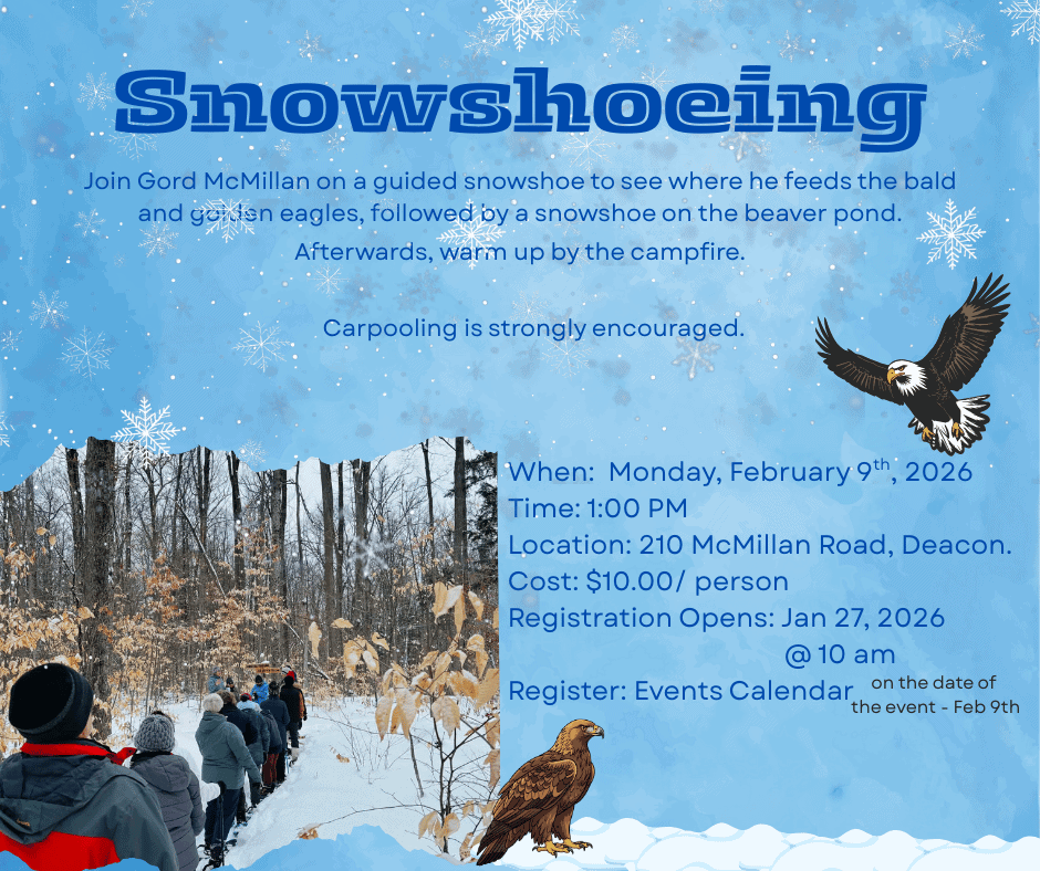 Snowshoeing